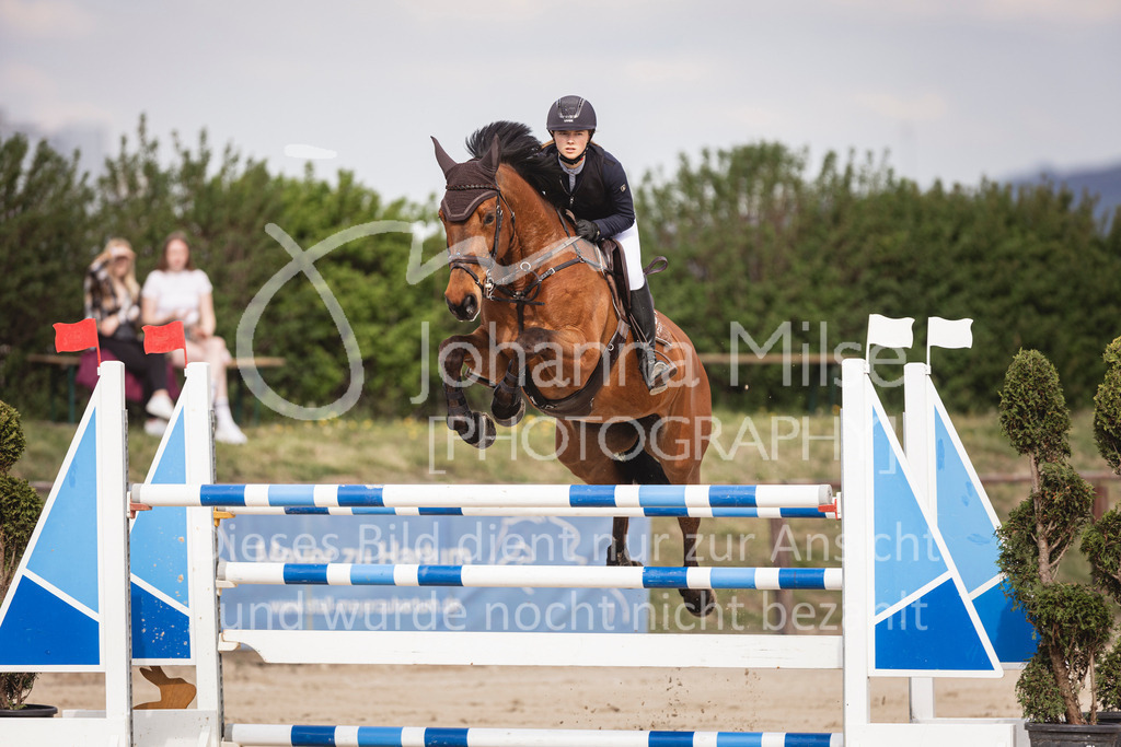 250416_M2-Springen-402 | Deine schönsten Turniermomente als professionelle Fotos! Entdecke hochwertige Pferdesport-Fotografie im Online-Shop. Jetzt Fotos finden & bestellen!