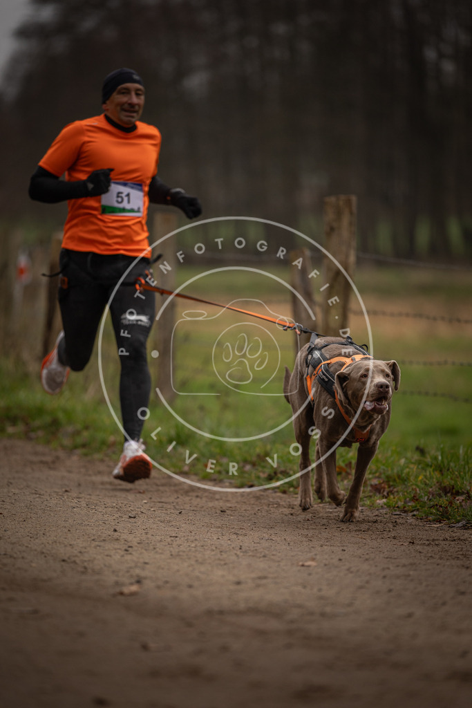 Pfotenfotografie_DV3A2874 | Hundefotografie, Tierfotograf, Pfotenfotografie, Fotoshooting Hund, Hunde Portrait, Hundesport, Hundeportraits, Heideshooting, Hunde, Sportfotograf, Hundefotograf, Turnierhundsport, THS,  - Realisiert mit Pictrs.com