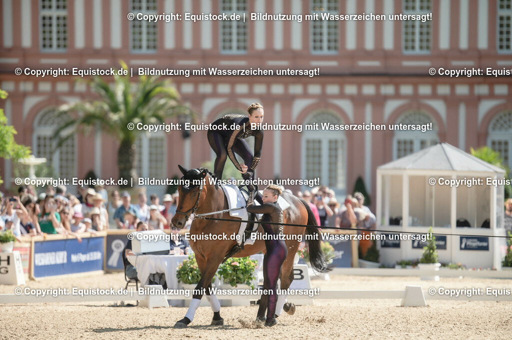 20230528_Voltigieren_NASPA_0261 | equistock