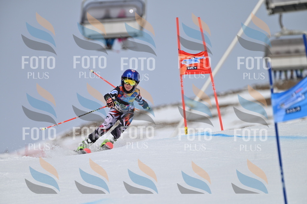 BGV_3885 | holidayphoto