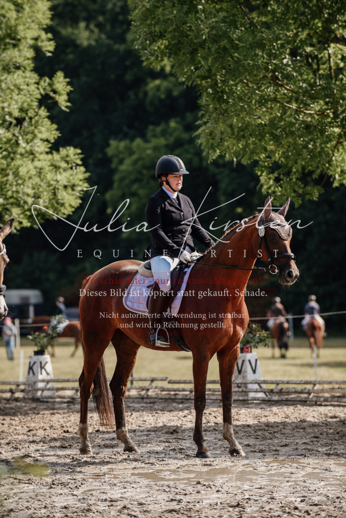 DSC_9231 | Pferde- und Turnierfotografie in Westsachsen. Pferdeportraits, Auftragszeichnungen und intuitive Kunst.