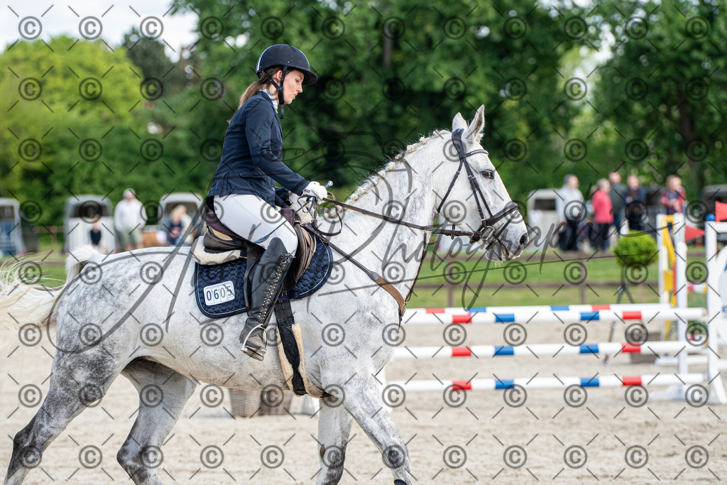 KPT_5080 | andre_photographic