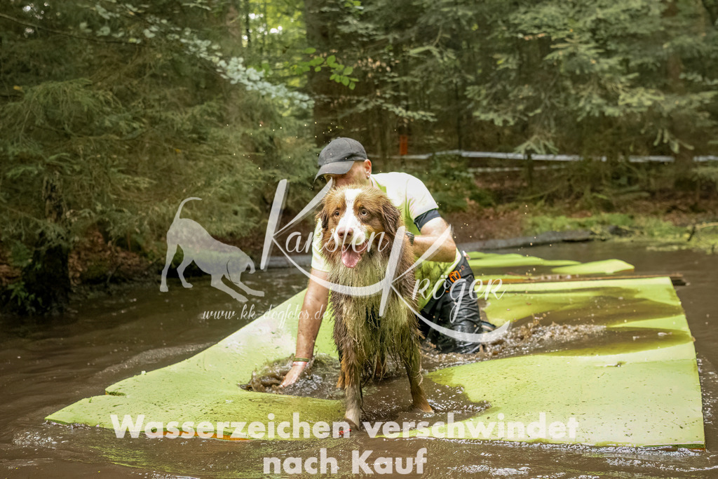 1231_ZZ90087-Bearbeitet | kk-dogfotos