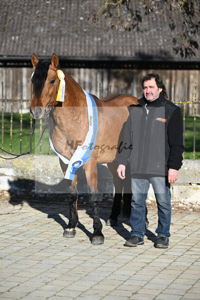 Kat-Nr. 12 Tapadero v. Tape Isidoro_Seefried_49250568 | hf-fotografie - Realisiert mit Pictrs.com