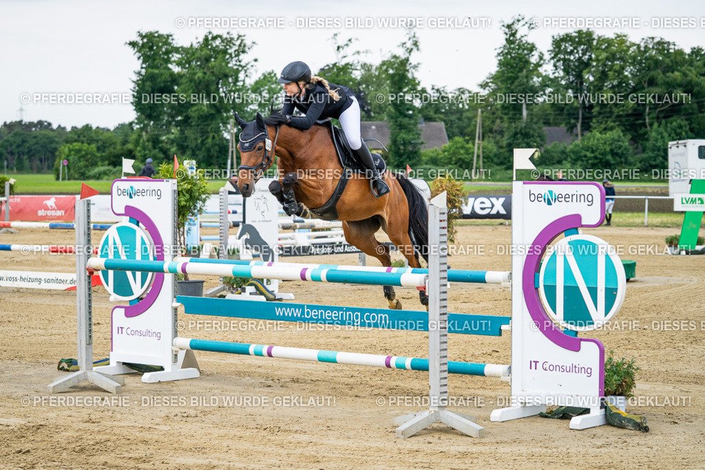 DSC05477 | Pferdegrafie