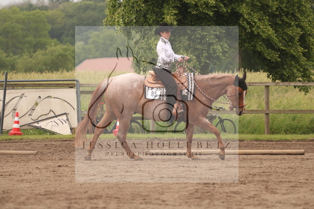 IMG_0916 | jessicahollubetz_pferdephotographie - Realisiert mit Pictrs.com