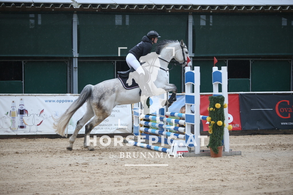 AS8V9113 | Willkommen bei Brunnmayr - Design & Fotografie – Ihrem Spezialisten für Reitturniere und Pferdeveranstaltungen in Oberösterreich, Salzburg und Bayern! Seit über 17 Jahren sind wir leidenschaftlich dabei.