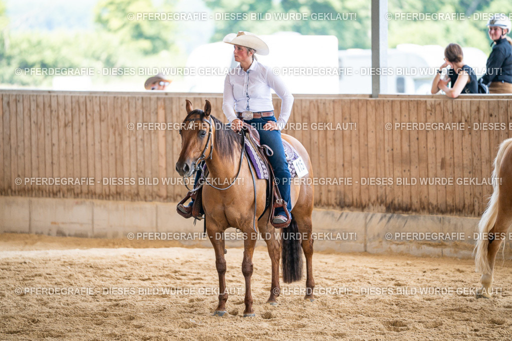 DSC02439 | Pferdegrafie