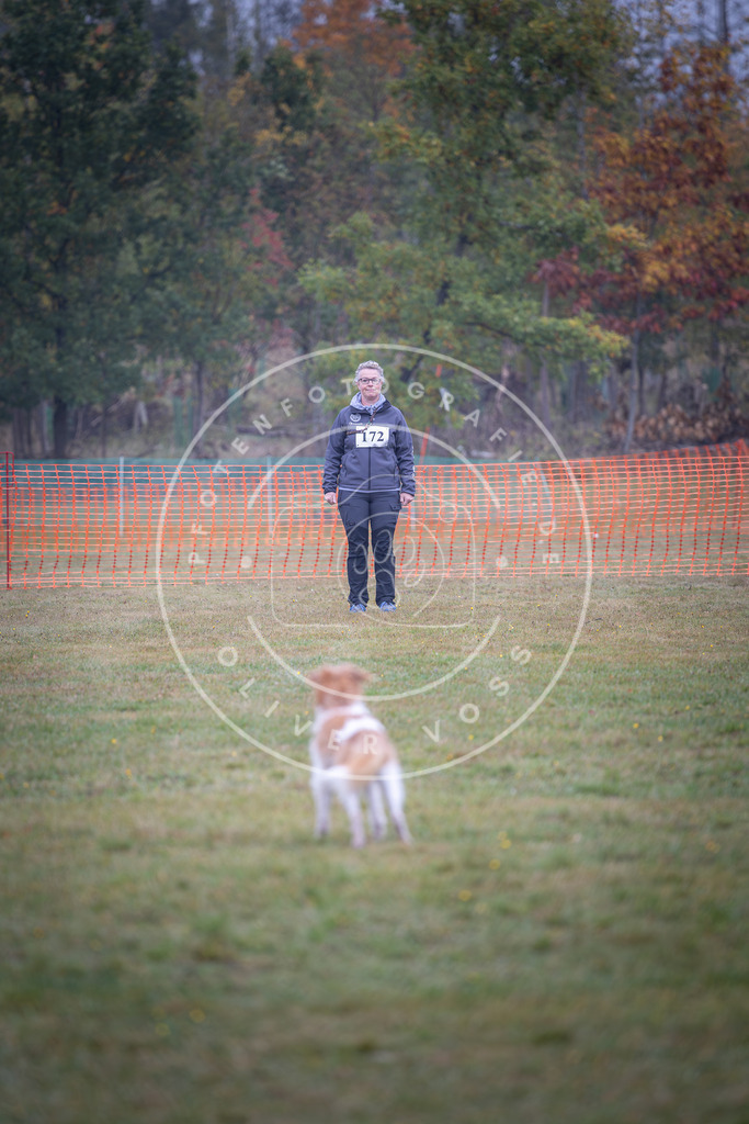 Pfotenfotografie_DV3A9204 | Hundefotografie, Tierfotograf, Pfotenfotografie, Fotoshooting Hund, Hunde Portrait, Hundesport, Hundeportraits, Heideshooting, Hunde, Sportfotograf, Hundefotograf, Turnierhundsport, THS,  - Realisiert mit Pictrs.com