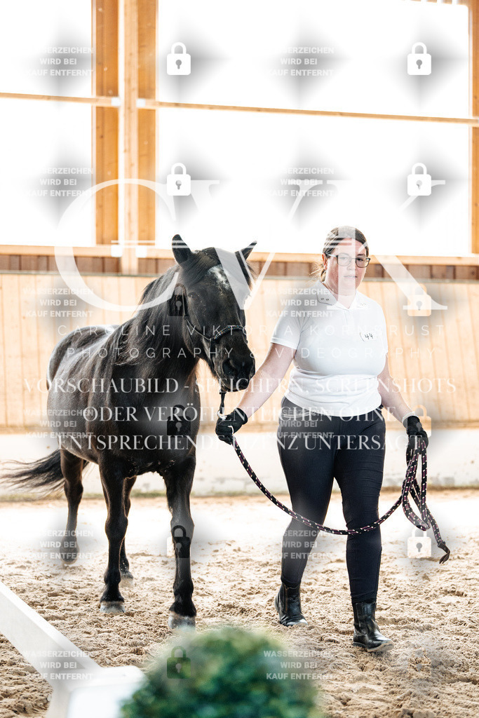 CK906515 | Turnierfotografie Pferdefotografie Trier Rheinland-Pfalz Pferdesport Reitsport Tierfotografie Sportfotografie Pferdevideo Pferdevideografie Equestrianvideography equestrianphotography  - Realisiert mit Pictrs.com