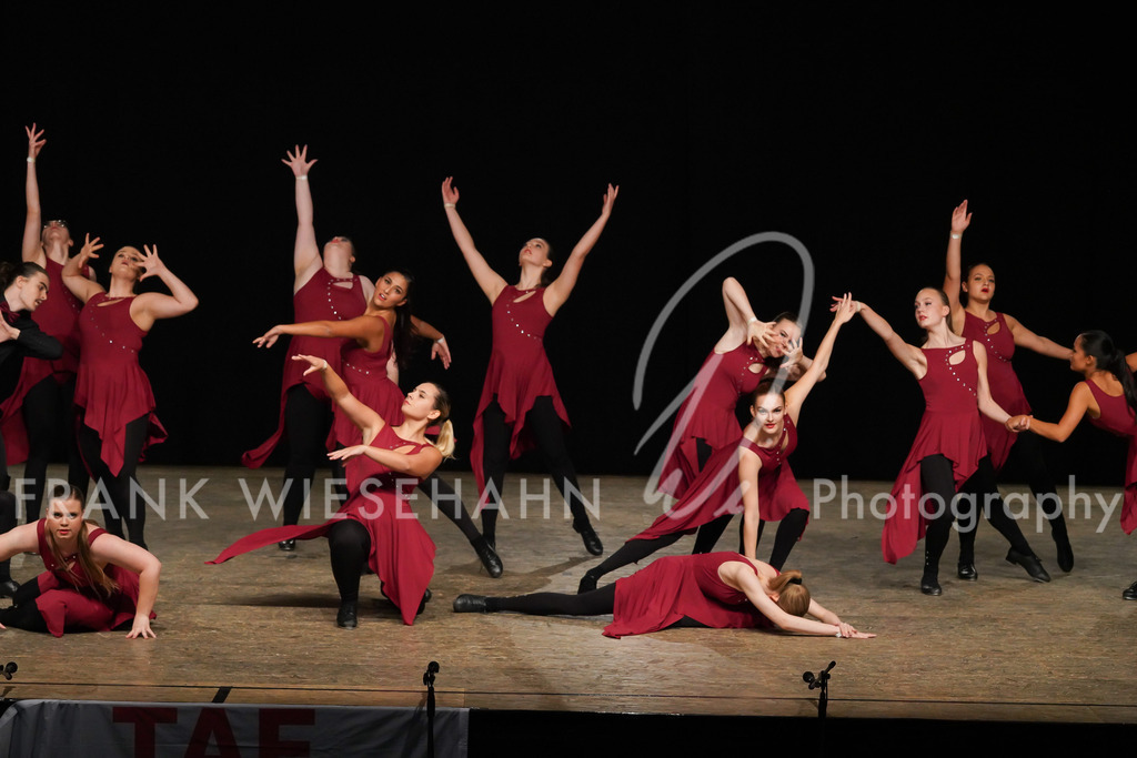 steppdm22_5890 | FRANK WIESEHAHN MEDIA - Realisiert mit Pictrs.com