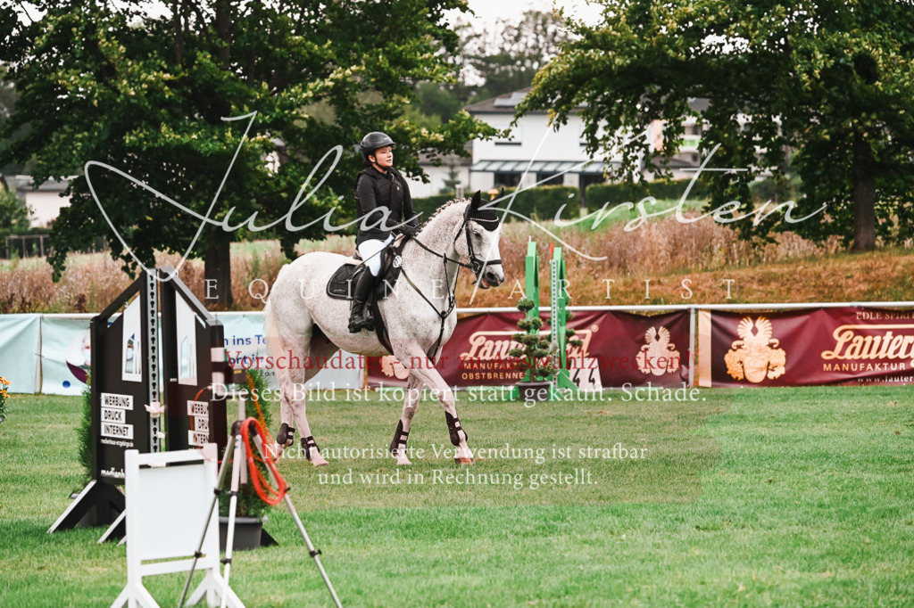 DSC_6056 | Pferde- und Turnierfotografie in Westsachsen. Pferdeportraits, Auftragszeichnungen und intuitive Kunst.