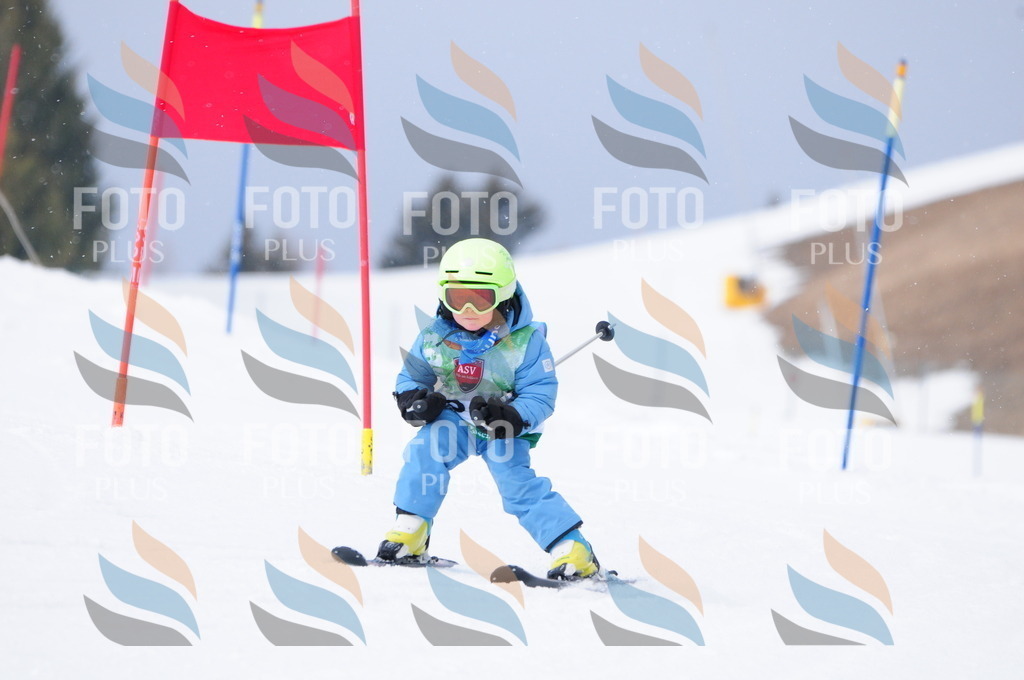 A3499 | holidayphoto