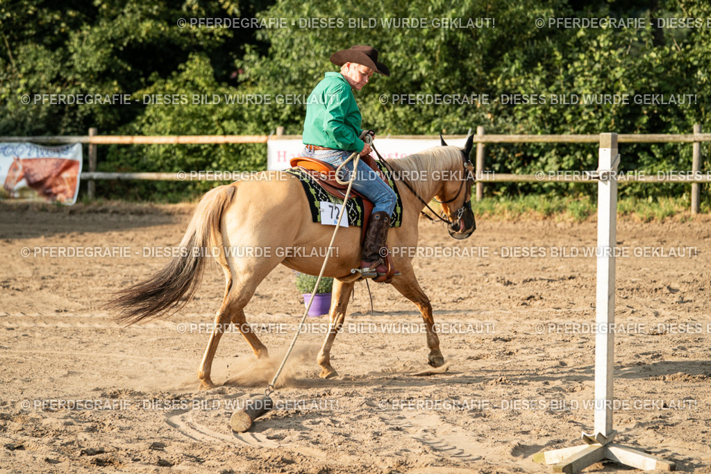 DSC06196 | Pferdegrafie