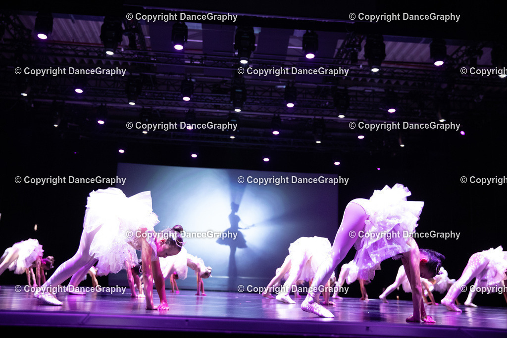 GPHY5238 | DanceGraphy - Realisiert mit Pictrs.com