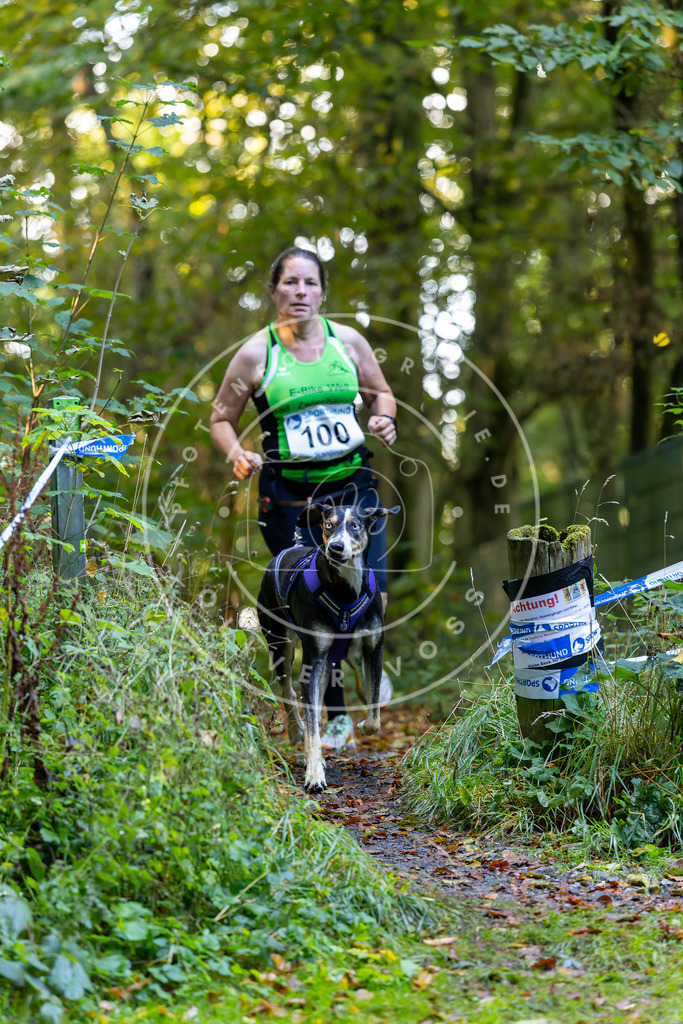 Pfotenfotografie_DV3A7882 | Hundefotografie, Tierfotograf, Pfotenfotografie, Fotoshooting Hund, Hunde Portrait, Hundesport, Hundeportraits, Heideshooting, Hunde, Sportfotograf, Hundefotograf, Turnierhundsport, THS,  - Realisiert mit Pictrs.com