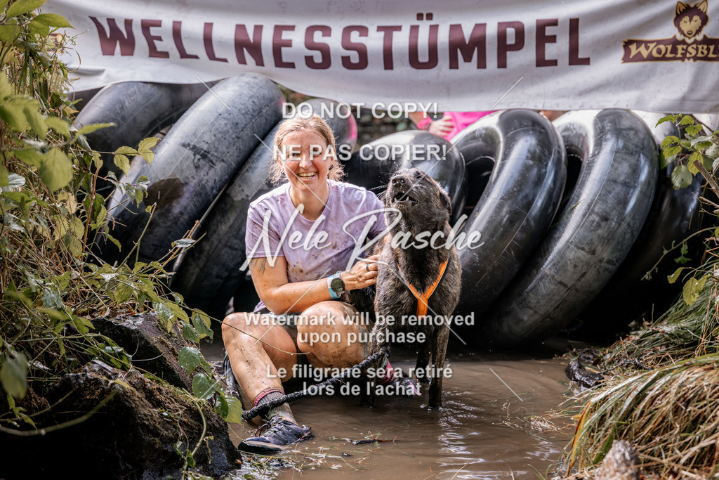 nelerasche_Hunsrück2026_Sa1400-1500_129 | nelerasche