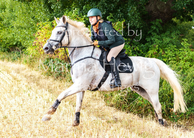 Jagd Knoop 26_MarinaHewigMCH02511 | Fotografie, FotoArt, PferdesportArt, Pferdesportfotografie, Landschaftsfotografie, Reisefotografie, Reise, Pferde - Realisiert mit Pictrs.com