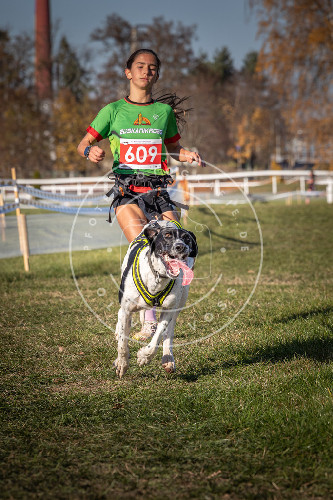CaniXpix_0L8A8608 | Hundefotografie, Tierfotograf, Pfotenfotografie, Fotoshooting Hund, Hunde Portrait, Hundesport, Hundeportraits, Heideshooting, Hunde, Sportfotograf, Hundefotograf, Turnierhundsport, THS,  - Realisiert mit Pictrs.com