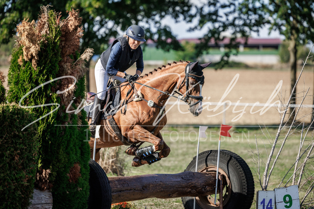 20260905-_3LI0349 | Tierfotografie Pferde, Hunde, Katzen, Haustiere.
Turnierfotografie Reitturniere, Reiten, Springreiten, Dressur in Hanau, dem Main-Kinzig-Kreis und dem Rhein-Main- Gebiet um Frankfurt