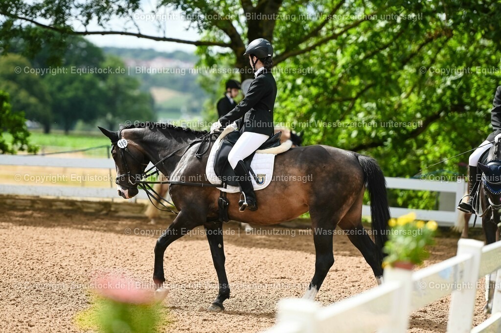 20230716_10-1_Reiter-WB Schritt - Trab - Galopp_0108 | equistock
