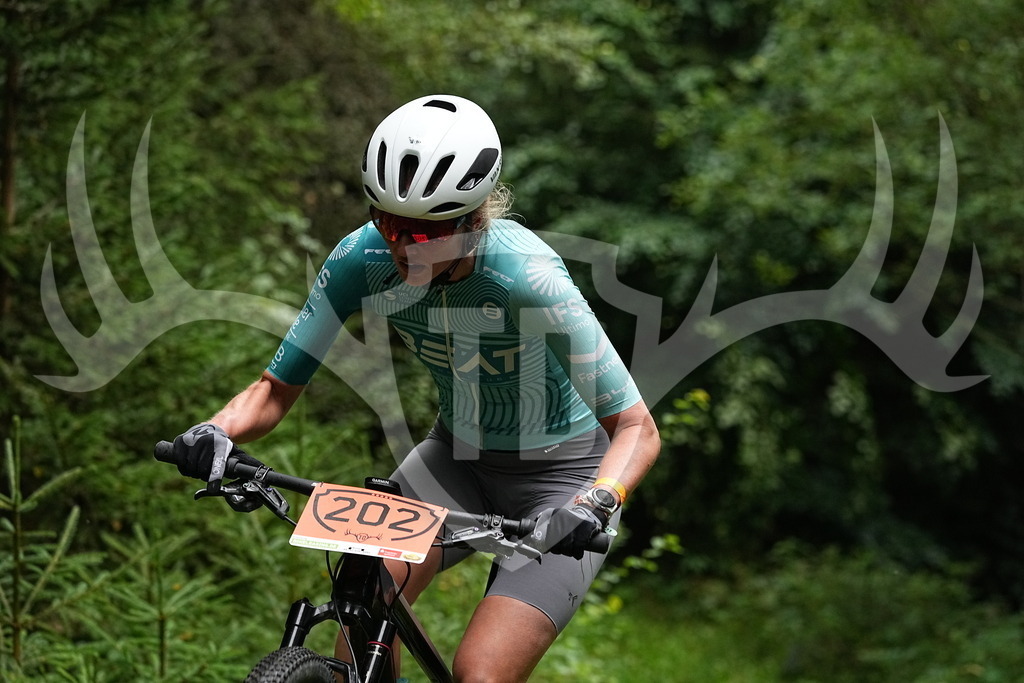 FC109716 | Fotogalerie der Treibjagd im Dunkelwald - Dein MTB Etappenrennen im Erzgebirge - Realisiert mit Pictrs.com
