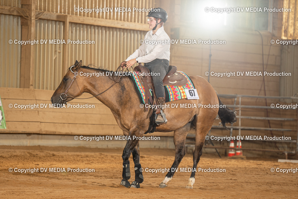 NID02304 | dv-media-shop - Realisiert mit Pictrs.com