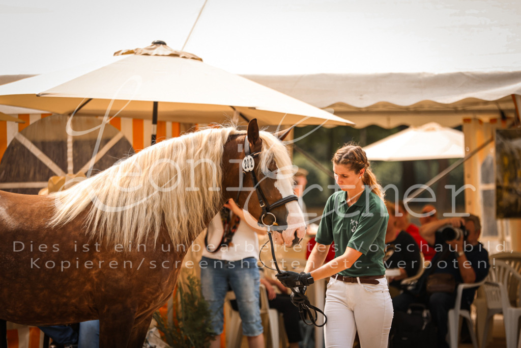 5.Sa00020 | Leoni Ertmer Photography - Realisiert mit Pictrs.com