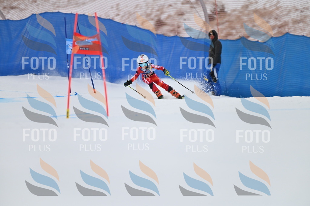 BGV_1996 | holidayphoto