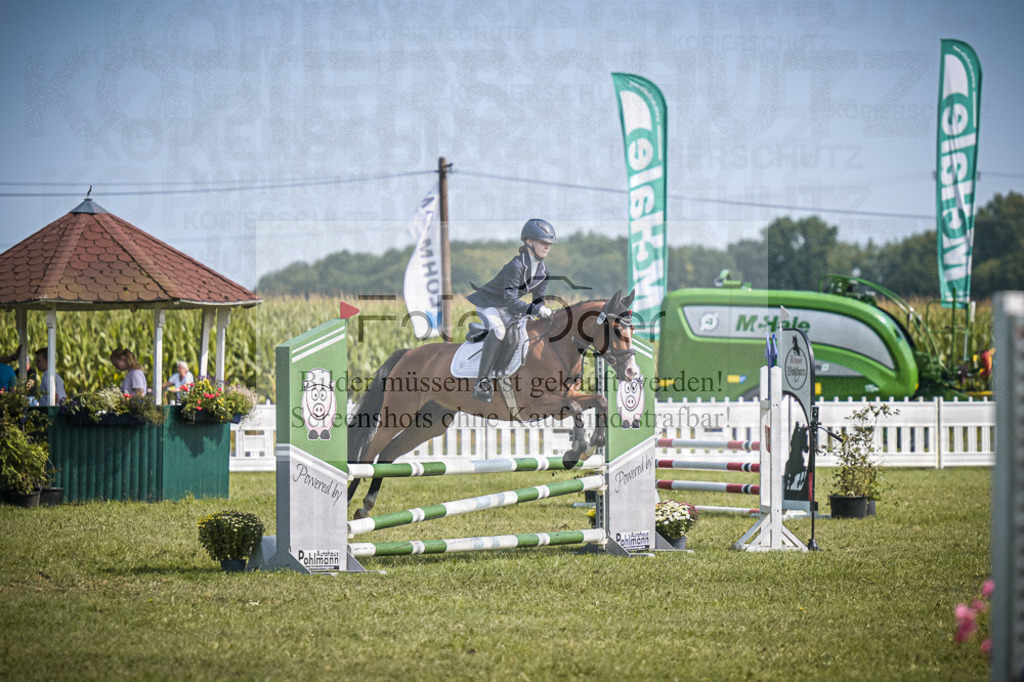 DOS_3431 | Entdecke hochwertige Reitturnierfotos von Foto Oger. Professionell, emotional und authentisch – jetzt Lieblingsmomente im Shop bestellen. - Realisiert mit Pictrs.com