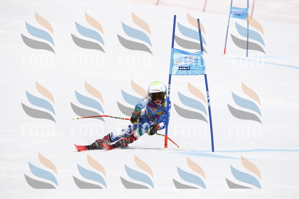 _U3G5851 | holidayphoto