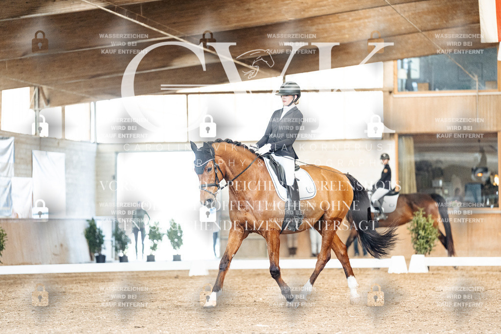 CK901025 | Turnierfotografie Pferdefotografie Trier Rheinland-Pfalz Pferdesport Reitsport Tierfotografie Sportfotografie Pferdevideo Pferdevideografie Equestrianvideography equestrianphotography  - Realisiert mit Pictrs.com