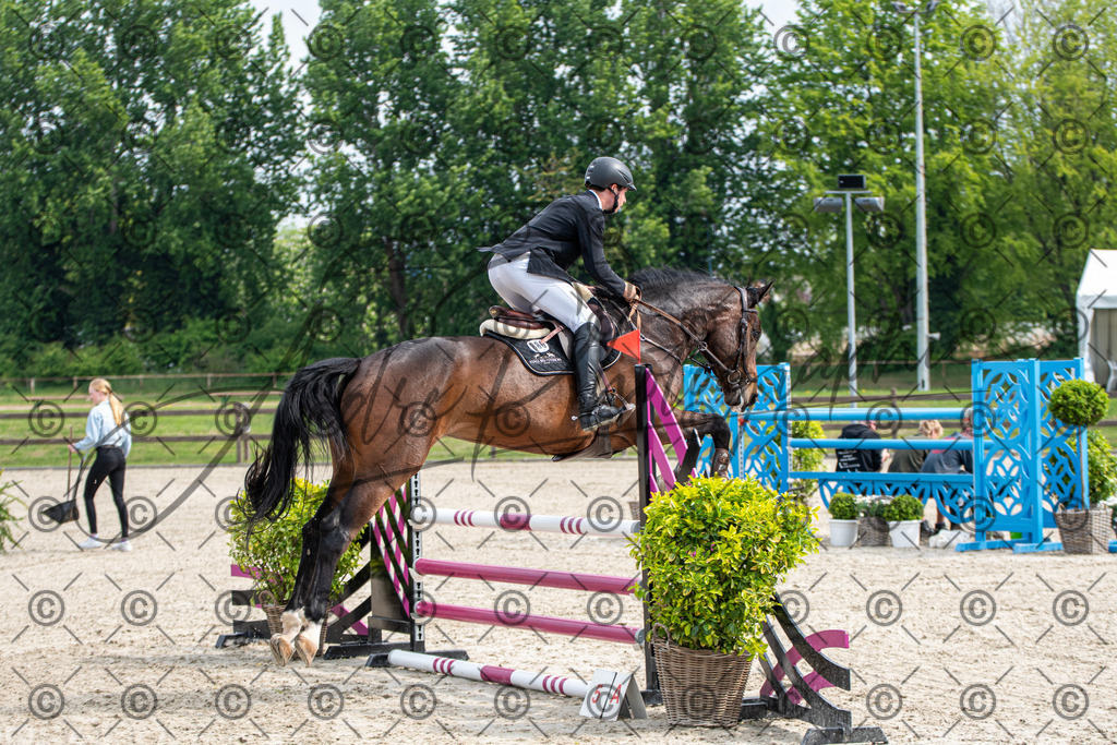 KPT_2439 | andre_photographic