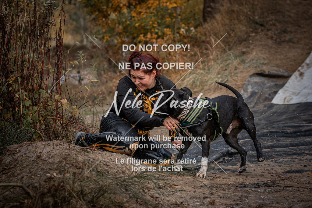 nelerasche_Creepy2025_So1100-1130_449 | nelerasche