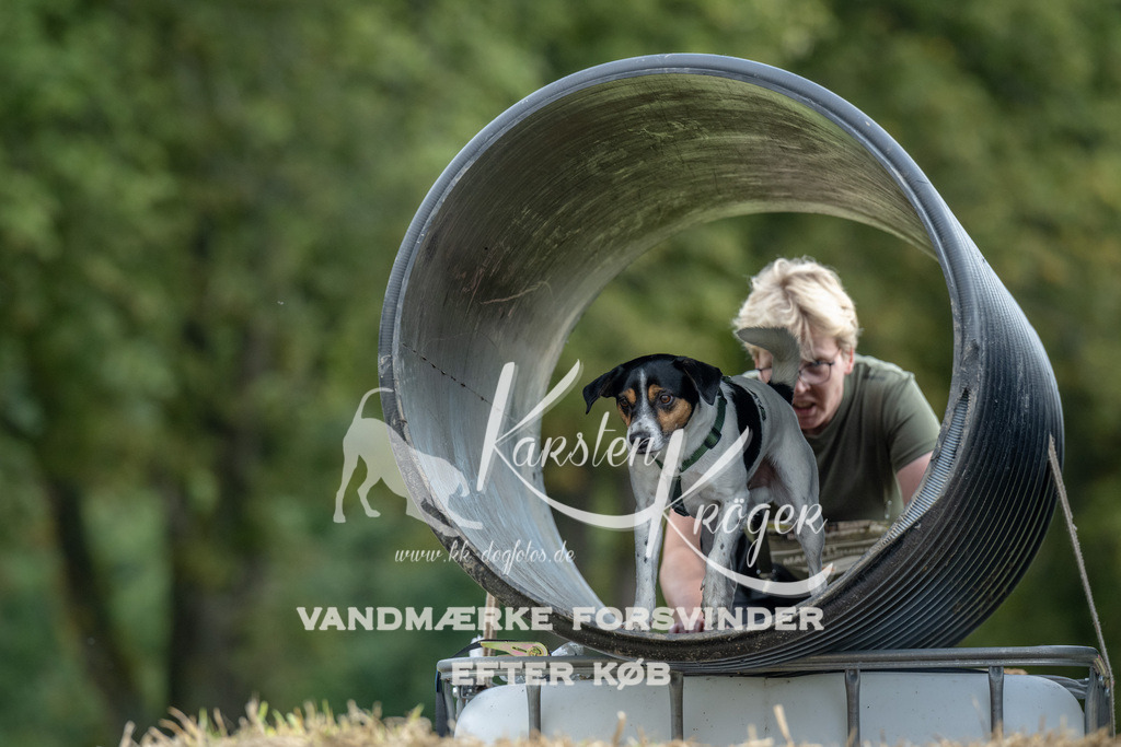 1027_ZZ92024 | kk-dogfotos