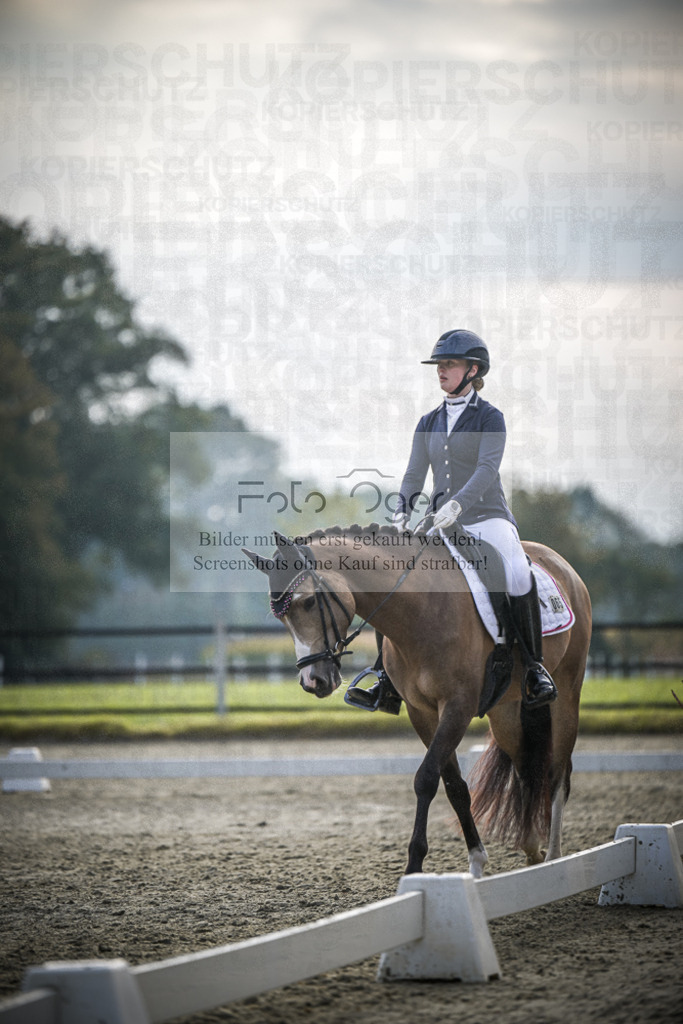 DOS_B029 | Entdecke hochwertige Reitturnierfotos von Foto Oger. Professionell, emotional und authentisch – jetzt Lieblingsmomente im Shop bestellen.Deutschlandweite Turnierfotografie. - Realisiert mit Pictrs.com