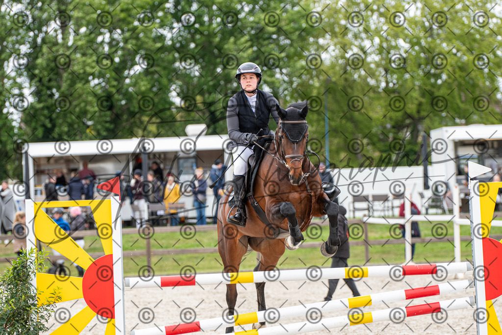 KPT_8719 | andre_photographic