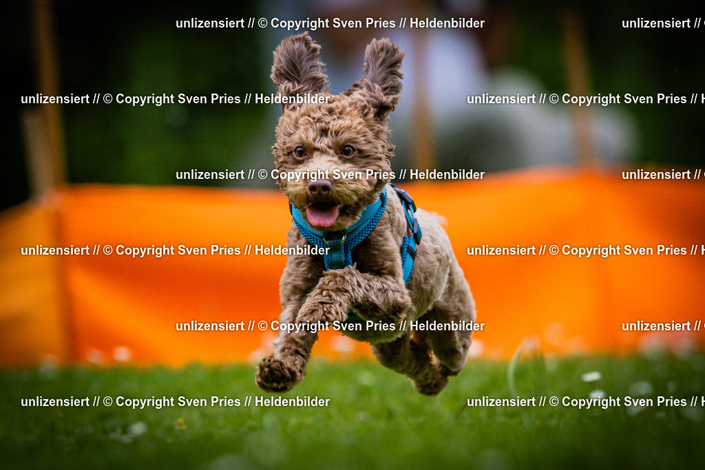 Sven Pries | 2025-05-29 - Pudelrennen KA-Durlach - Realisiert mit Pictrs.com