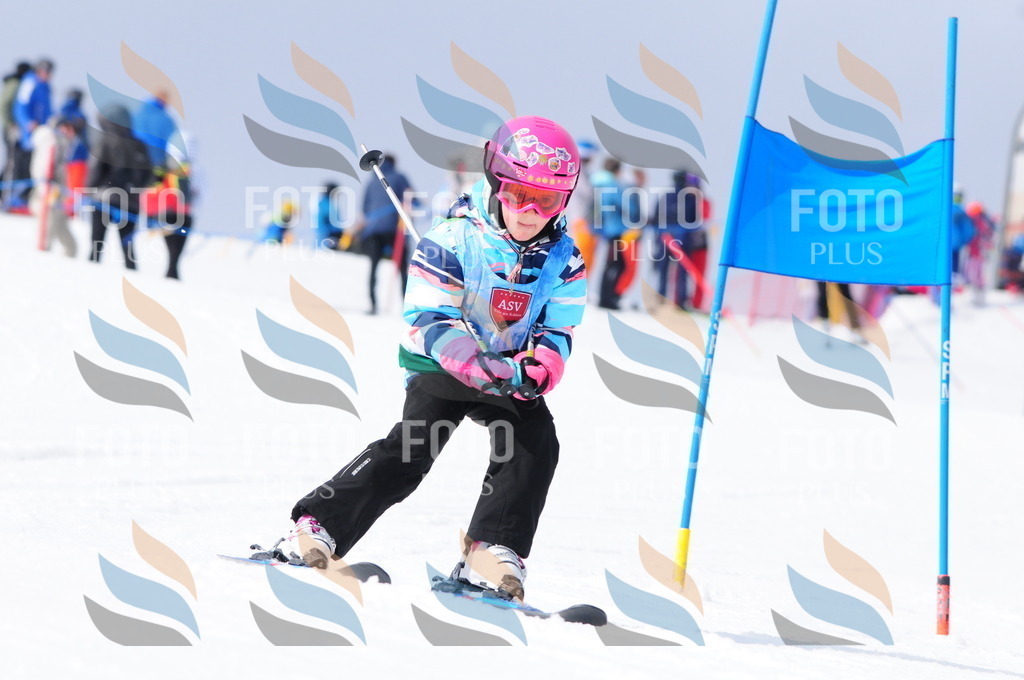 A3647 | holidayphoto