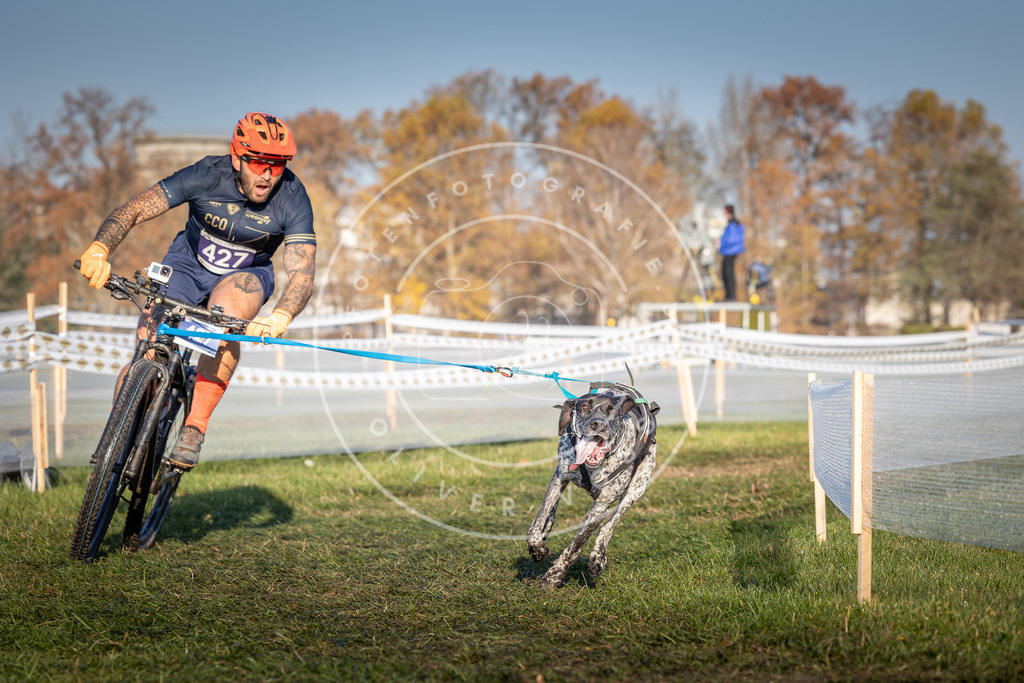 CaniXpix_0L8A4212 | Hundefotografie, Tierfotograf, Pfotenfotografie, Fotoshooting Hund, Hunde Portrait, Hundesport, Hundeportraits, Heideshooting, Hunde, Sportfotograf, Hundefotograf, Turnierhundsport, THS,  - Realisiert mit Pictrs.com