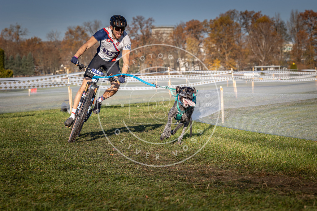 CaniXpix_0L8A4379 | Hundefotografie, Tierfotograf, Pfotenfotografie, Fotoshooting Hund, Hunde Portrait, Hundesport, Hundeportraits, Heideshooting, Hunde, Sportfotograf, Hundefotograf, Turnierhundsport, THS,  - Realisiert mit Pictrs.com