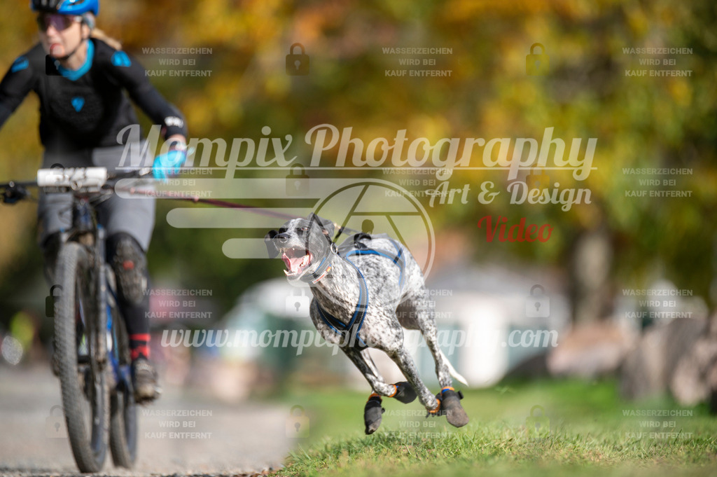 TSB_2023_E2_Bike-67 | PayLife