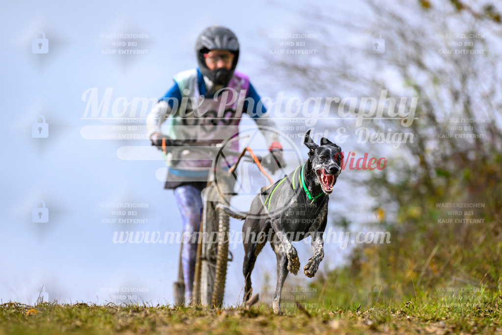 MompixPhotography_2OATB_SO_Scooter-39 | PayLife
