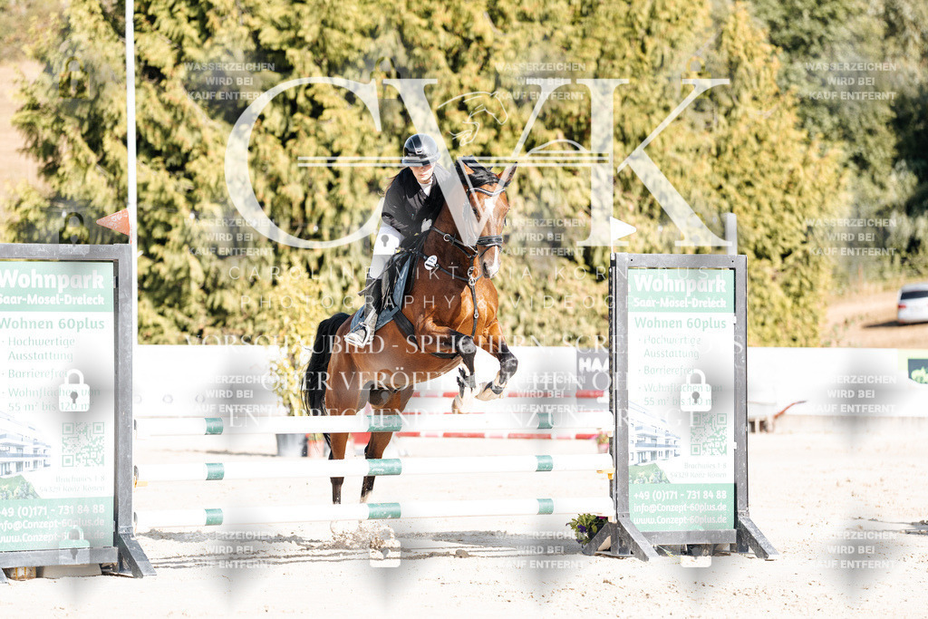 CK909216 | Turnierfotografie Pferdefotografie Trier Rheinland-Pfalz Pferdesport Reitsport Tierfotografie Sportfotografie Pferdevideo Pferdevideografie Equestrianvideography equestrianphotography  - Realisiert mit Pictrs.com