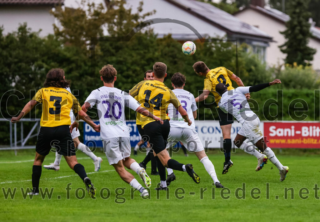 2023-08-09_104_FC_Moosinning_II_gegen_SpVgg_Altenerding | Moosinning, Deutschland, 09.08.2023:
Fußball, Kreisliga 2023 / 2024, 3. Spieltag, FC Moosinning II gegen SpVgg Altenerding, Endergebnis: 1:1

Fehmi Bagci (FC Moosinning, #3), Marc Winkelmann (SpVgg Altenerding, #20), Maximilian Schmid (FC Moosinning, #14), Julius Krop (SpVgg Altenerding, #13), Ridwan Bello (SpVgg Altenerding, #5)

Foto: Christian Riedel / fotografie-riedel.net