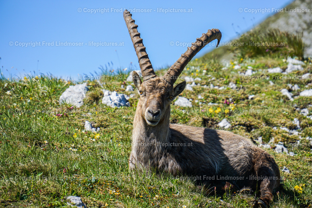 Hochschwab-00326 | Fotos und Fotoprodukte - Realisiert mit Pictrs.com
