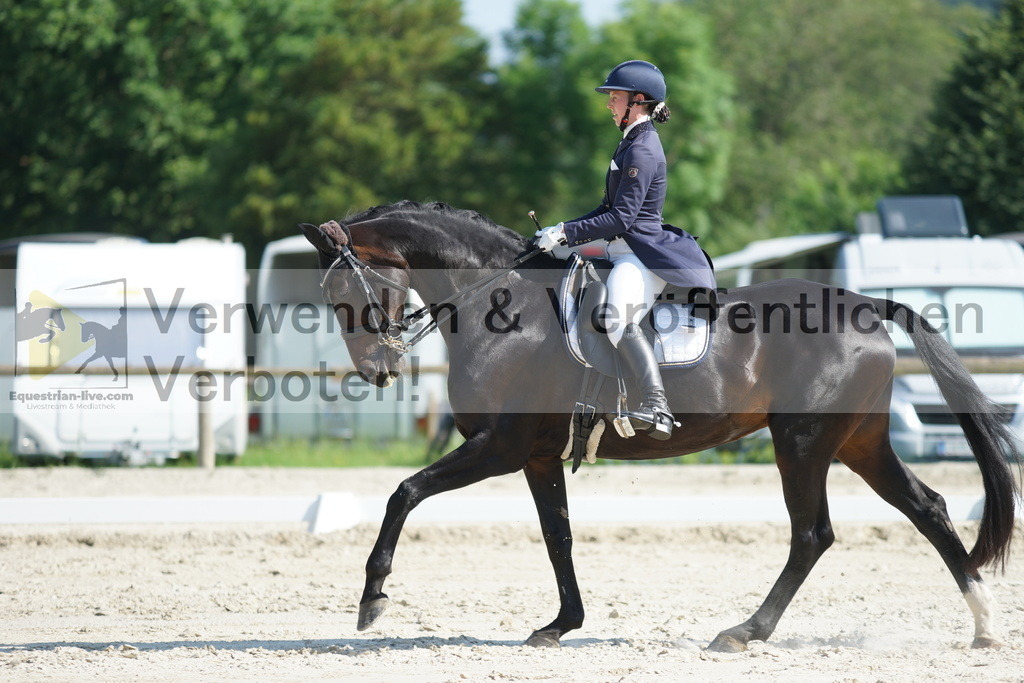 DSC02417 | equestrian-live-com