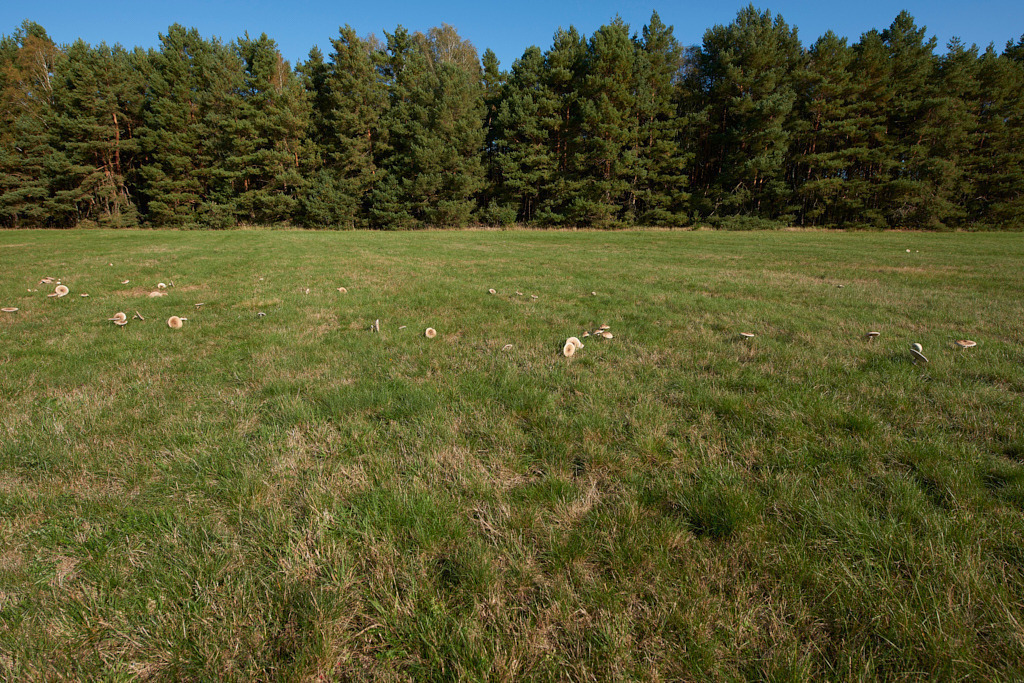 In den Schlottenwiesen 01 | Bedeutsame Landschaften Deutschlands - Realisiert mit Pictrs.com