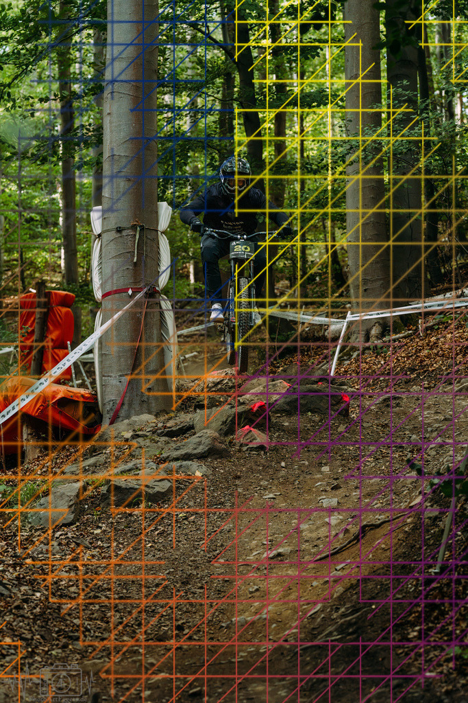 PAE-2408 | Einzigartige Fotokunst für dein Zuhause: Entdecke hochwertige Wandbilder, edle Prints und emotionale Motive von Wildlife, Natur und Landschaften - Realisiert mit Pictrs.com