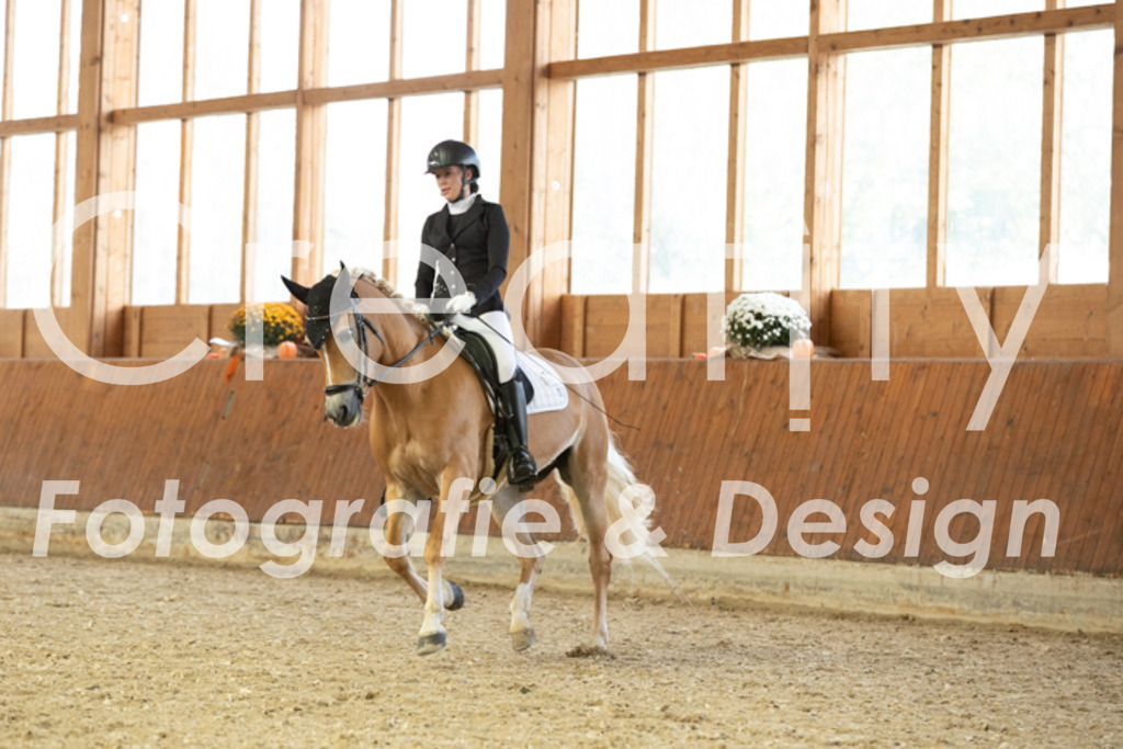 IMG_5891 | Creatify Fotografie